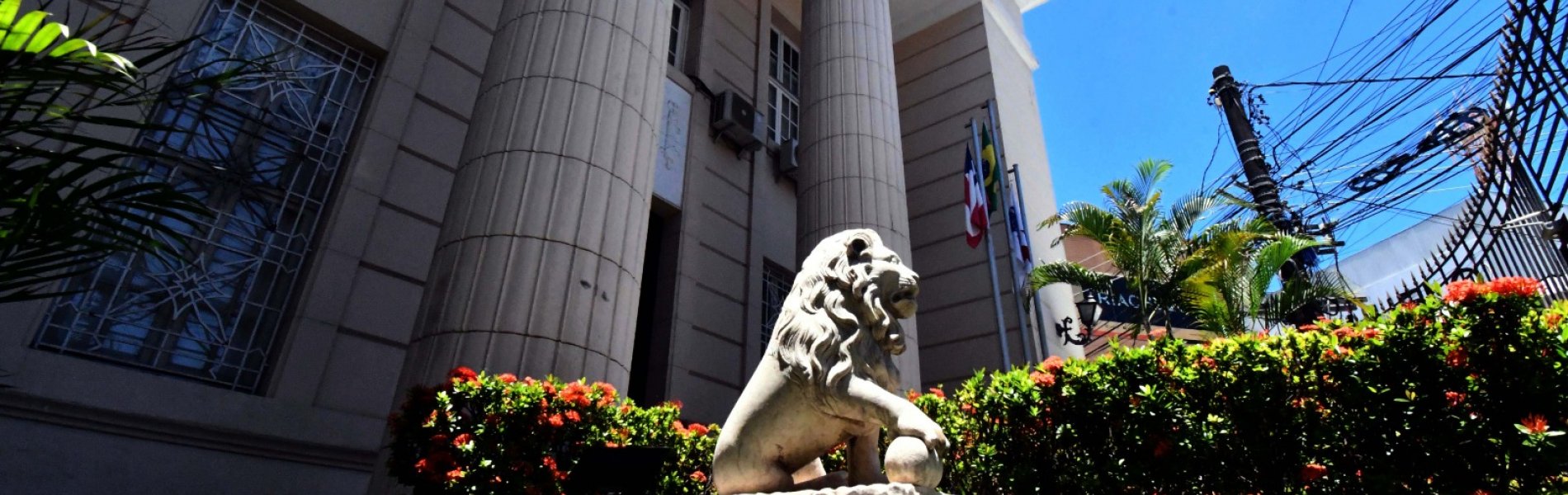 [OAB-BA reforça defesa de prerrogativas durante Carnaval]