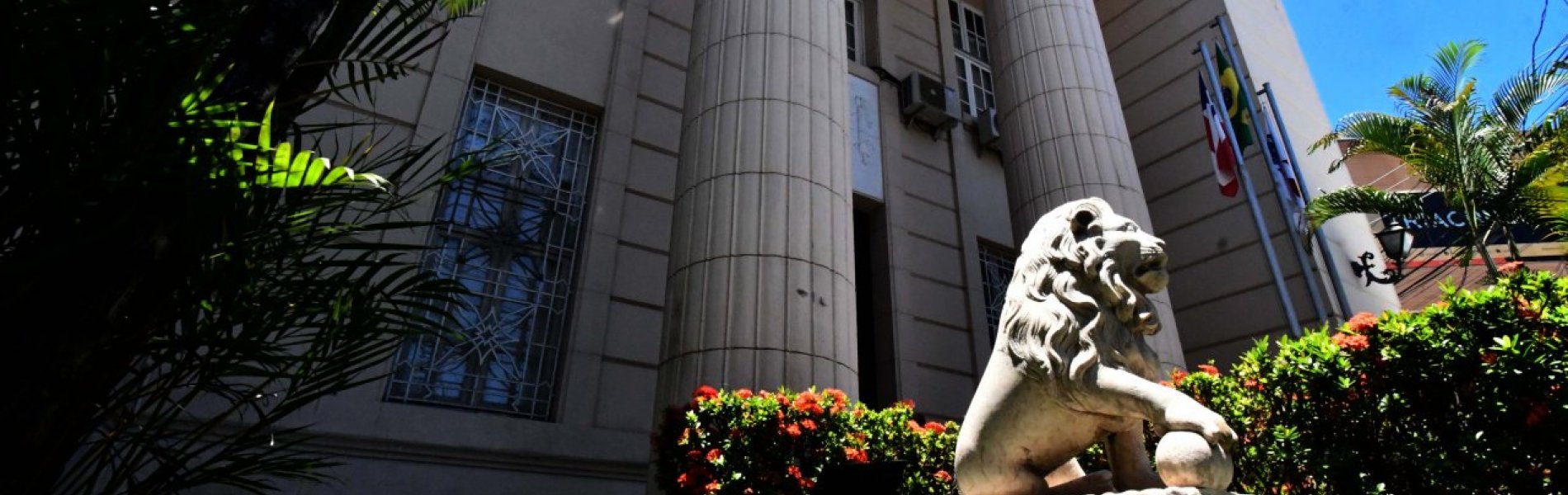 [Atuação institucional da OAB-BA em processos criminais restringe-se à defesa de prerrogativas]