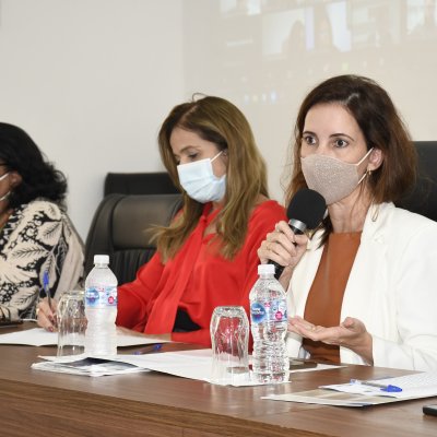 [Conselho Pleno debate fechamento e restrições nos Tribunais]