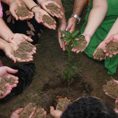[OAB-BA planta baobá em homenagem a Esperança Garcia no Clube dos Advogados ]