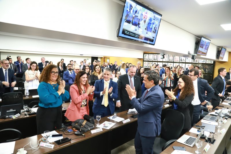 [Com relatoria de conselheira baiana, OAB Nacional aprova ingresso como amicus curiae em ação contra violência doméstica]